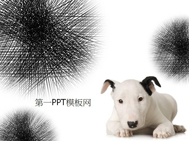 可爱的斑点狗背景PPT模板