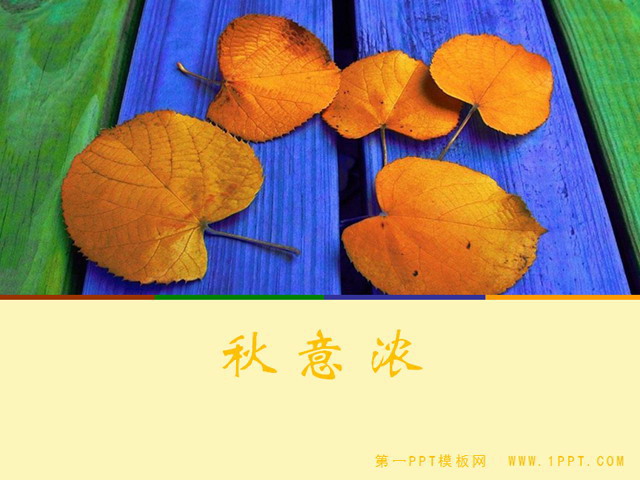 浓浓秋意落叶PPT模板