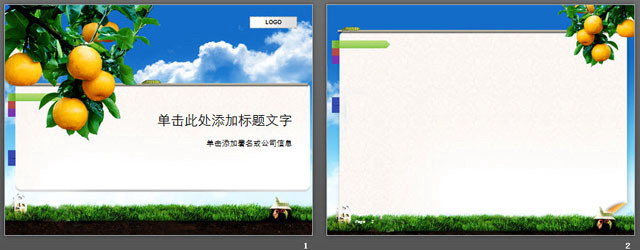 桔子背景的植物水果主题PPT模板下载