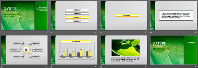 生命的绿色 绿色植物PowerPoint模板