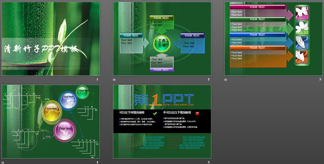 清新竹子背景PowerPoint幻灯片模板