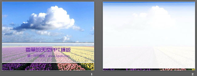 天空下的郁金香PowerPoint模板下载