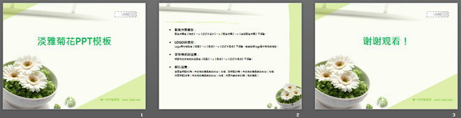 清新淡雅的菊花背景植物幻灯片模板下载