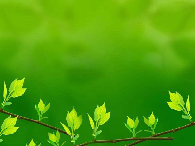 绿色清新的叶子PowerPoint背景图片下载