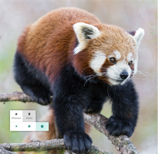 微软Office Sway 应用是什么，有什么功能？