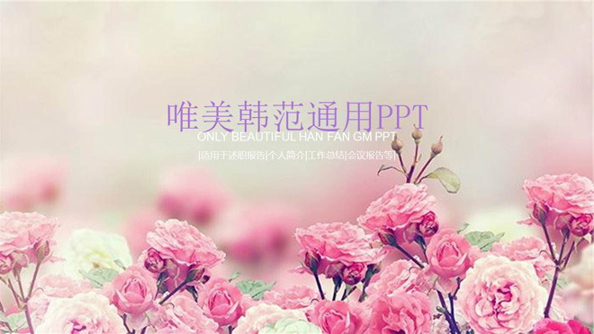 粉色蔷薇花背景的韩国PPT模板