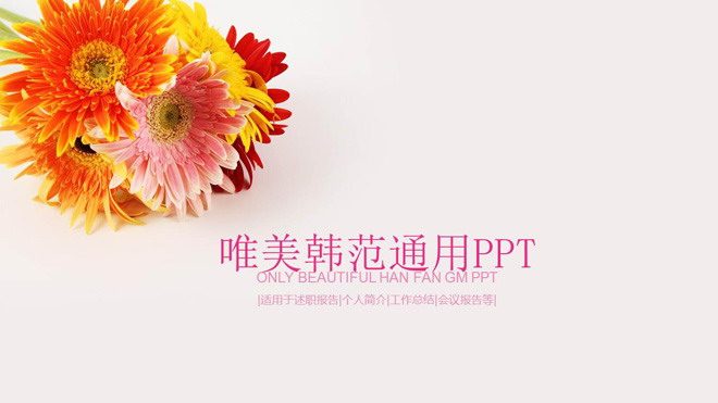 唯美菊花背景PPT模板免费下载