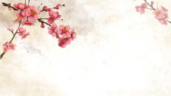 八张唯美水彩花卉PPT背景图片