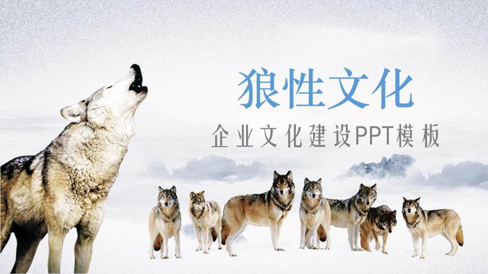 狼群背景的狼性企业文化培训PPT模板