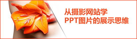 从摄影网站学PPT图片的展示思维