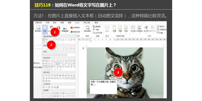 如何在Word中将文字写在图片上？