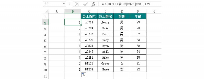Excel如何批量匹配两张不同表格数据？（Countif 函数法）