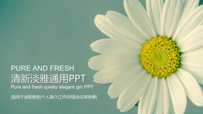 淡雅清新小花背景PPT模板