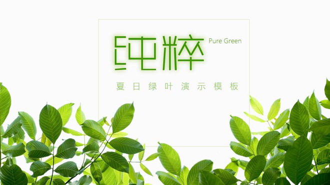 清新绿色叶子背景的夏日主题PPT模板
