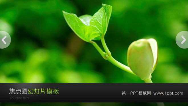 动态绿苗豆芽背景的植物幻灯片模板下载