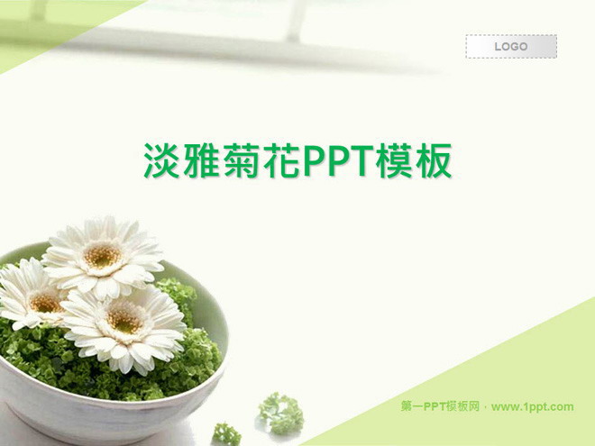 清新淡雅的菊花背景植物幻灯片模板下载