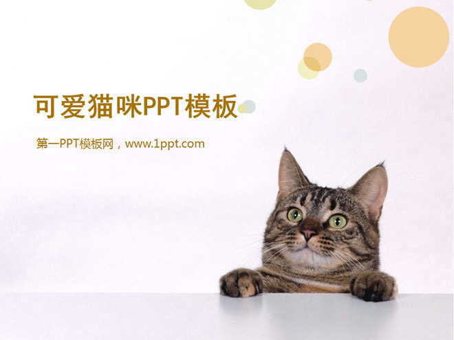 可爱猫咪幻灯片模板下载