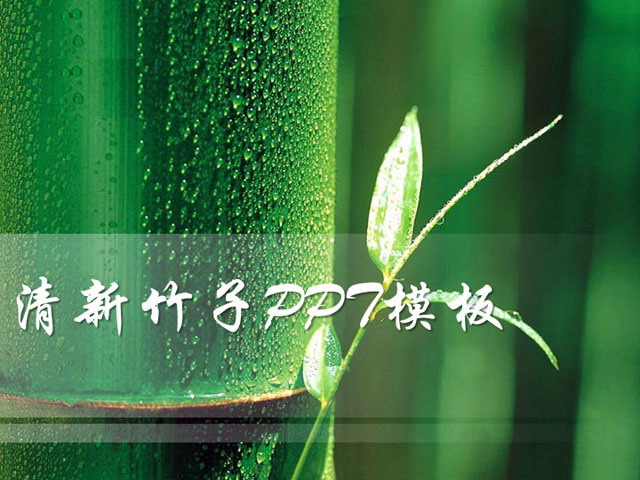 清新竹子背景PowerPoint幻灯片模板