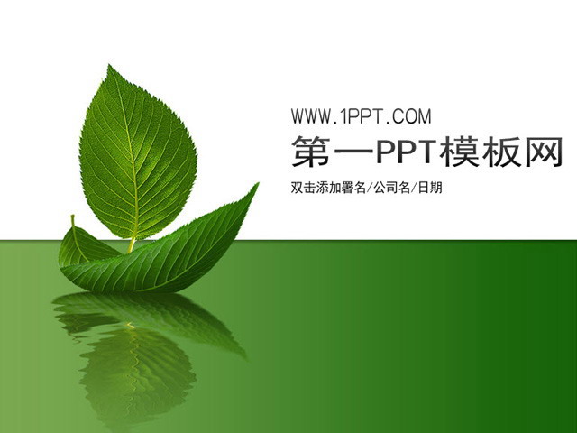简洁树叶背景植物PPT模板下载