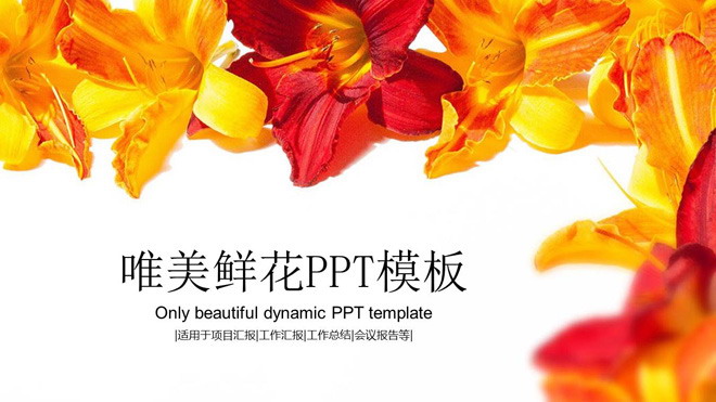 鲜艳花卉背景唯美PPT模板免费下载