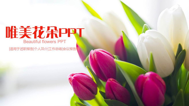 唯美郁金香鲜花背景的通用PPT模板免费下载