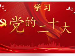 二十大学习内容ppt模板免费下载