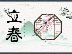 古典雅致的花鸟水墨背景图片ppt模板免费下载