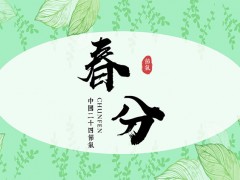 淡雅绿色叶子图案背景的春分节气PPT模板免费下载