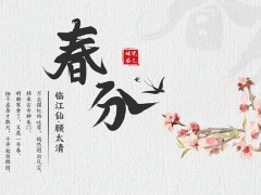 桃花背景的春分节气PPT模板免费下载