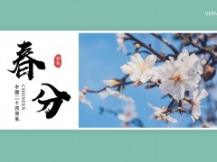 桃花背景图片的春分节气PPT模板免费下载