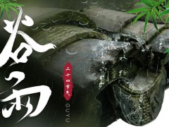 二十四节气谷雨PPT模板免费下载
