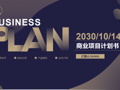 黑金渐变商业项目计划书PPT模板免费下载