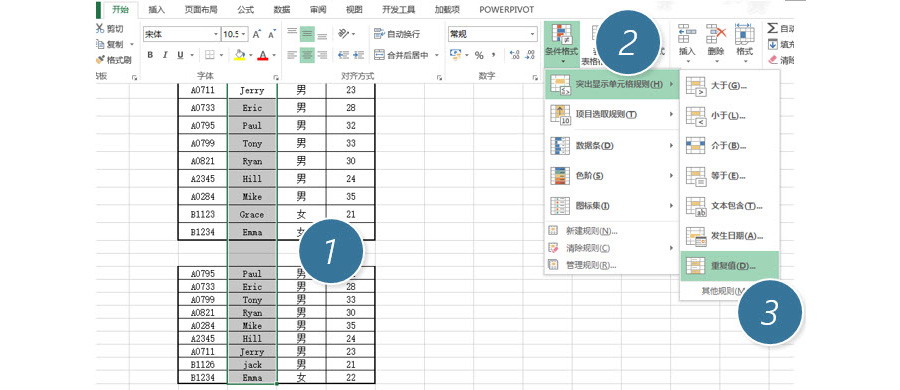 Excel如何批量匹配两张不同表格数据？（条件格式法）